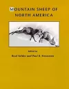 Mountain Sheep of North America cover
