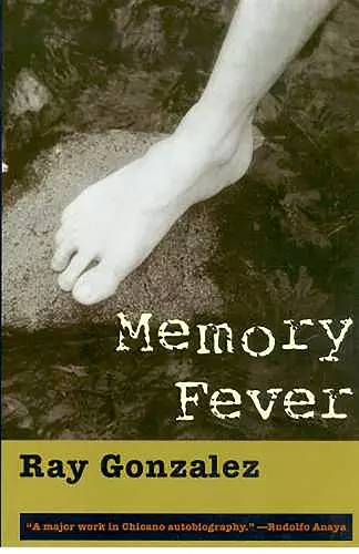 Memory Fever cover