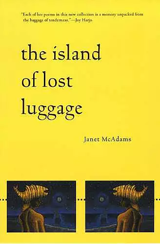 The Island of Lost Luggage cover