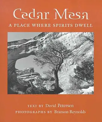 Cedar Mesa cover