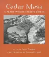 Cedar Mesa cover