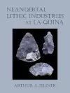 Neandertal Lithic Industries at La Quina cover