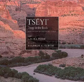 Tseyi' / Deep in the Rock cover