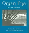 Organ Pipe cover