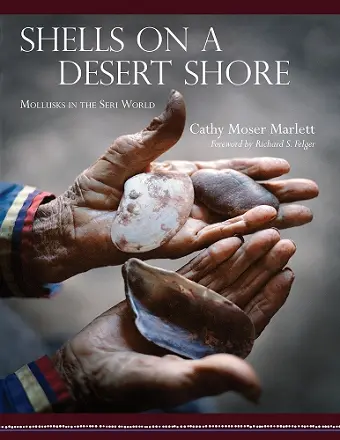 Shells on a Desert Shore cover