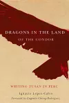 Dragons in the Land of the Condor cover
