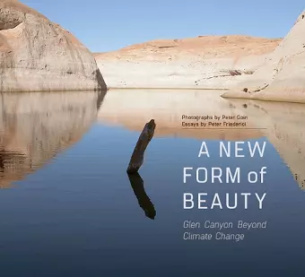 A New Form of Beauty cover