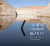 A New Form of Beauty cover