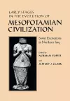 Early Stages in the Evolution of Mesopotamian Civilization cover