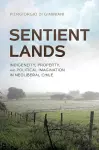 Sentient Lands cover