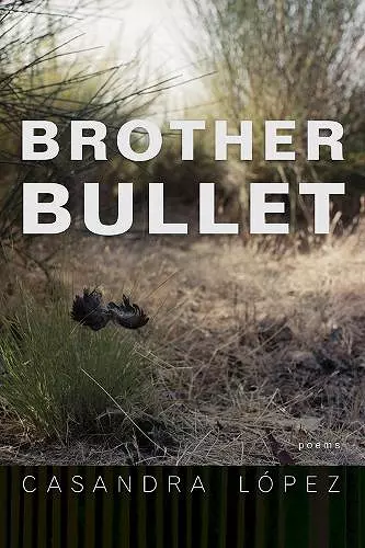 Brother Bullet cover