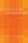 Literature as History cover