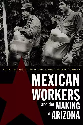 Mexican Workers and the Making of Arizona cover