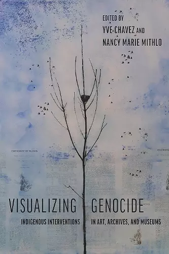 Visualizing Genocide cover