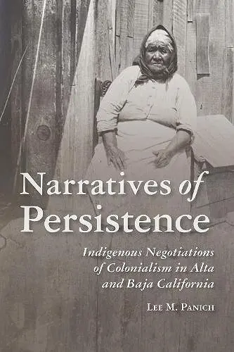 Narratives of Persistence cover