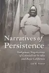 Narratives of Persistence cover