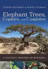 Elephant Trees, Copales, and Cuajiotes cover