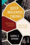 Queer Indigenous Cinemas cover
