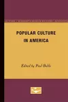 Popular Culture in America cover