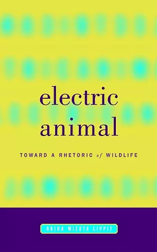 Electric Animal cover