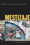 Mestizaje cover