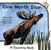 One North Star cover