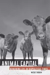 Animal Capital cover
