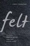 Felt cover