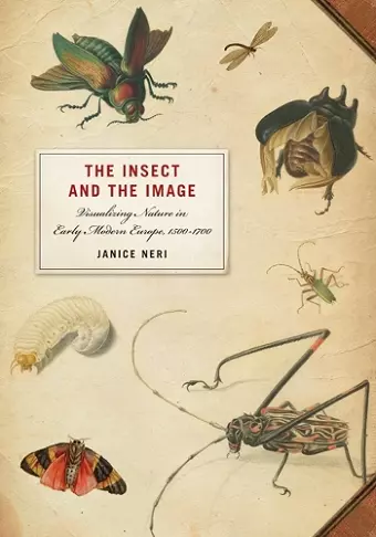 The Insect and the Image cover