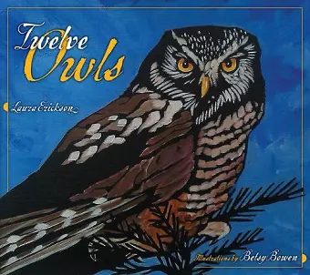 Twelve Owls cover