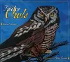 Twelve Owls cover