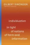 Individuation in Light of Notions of Form and Information cover