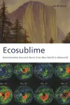 Ecosublime cover