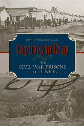 Captives in Gray cover