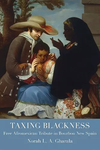 Taxing Blackness cover