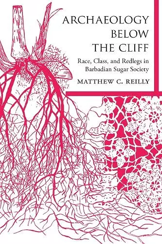 Archaeology Below the Cliff cover
