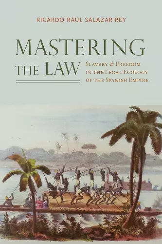 Mastering the Law cover