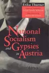 National Socialism and Gypsies in Austria cover
