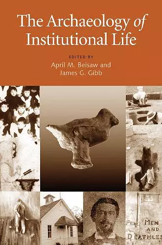 The Archaeology of Institutional Life cover