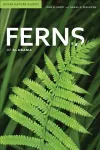Ferns of Alabama cover