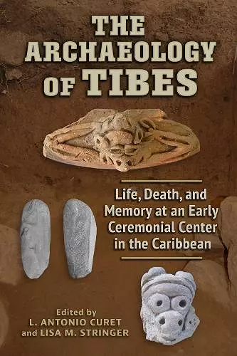 The Archaeology of Tibes cover