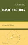 Basic Algebra cover