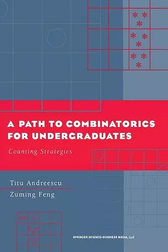 A Path to Combinatorics for Undergraduates cover