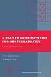 A Path to Combinatorics for Undergraduates cover