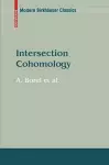 Intersection Cohomology cover