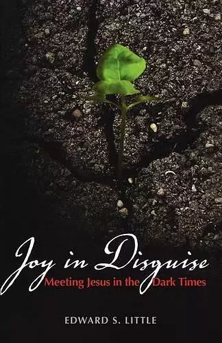 Joy in Disguise cover