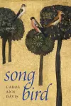 Songbird cover
