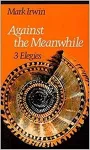 Against the Meanwhile cover