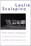 The Public World/Syntactically Impermanence cover