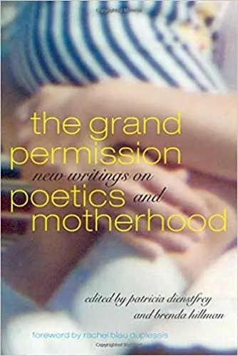 The Grand Permission cover